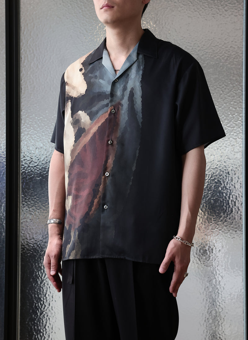 Dama Con Lermellino Polyester Open Collar Shirt