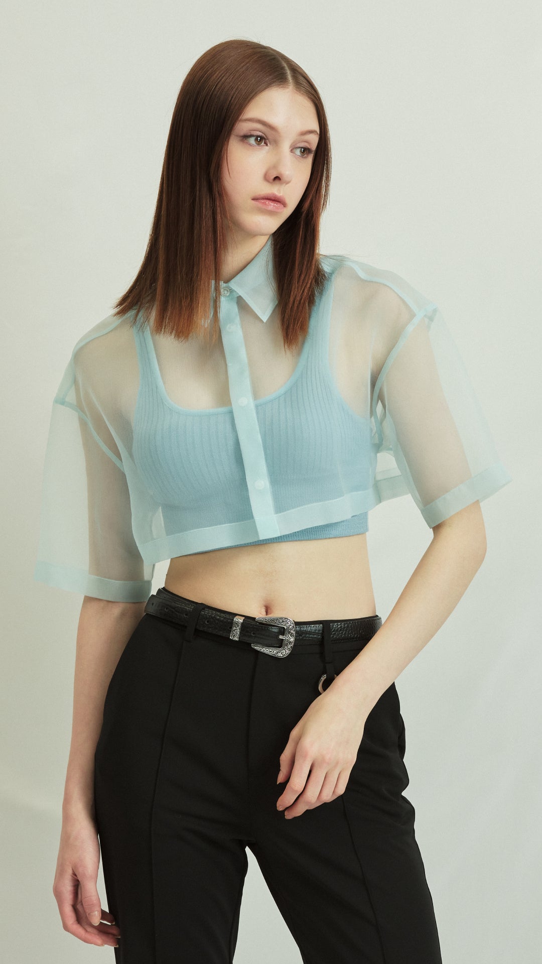 sheer cropped blouse